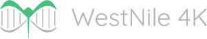 WestNile 4K Project